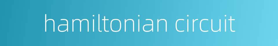 hamiltonian circuit的同义词