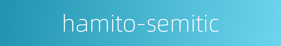 hamito-semitic的同义词