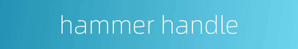 hammer handle的同义词