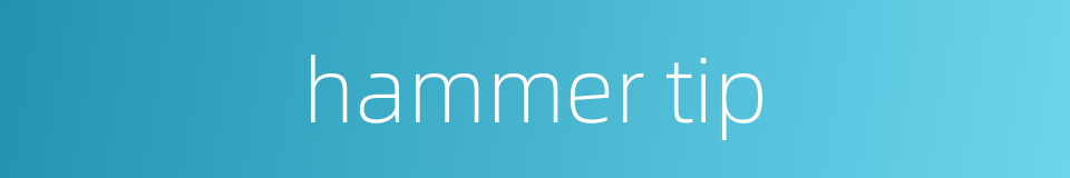 hammer tip的同义词