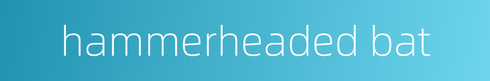 hammerheaded bat的同义词