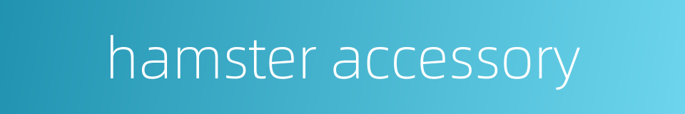 hamster accessory的同义词