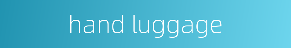 hand luggage的同义词