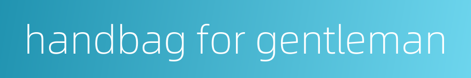 handbag for gentleman的同义词
