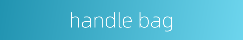 handle bag的同义词