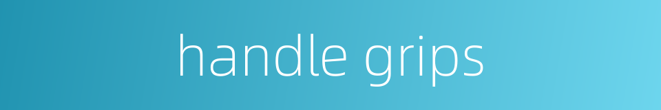 handle grips的同义词