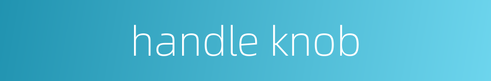 handle knob的同义词