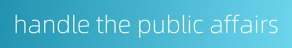 handle the public affairs的同义词