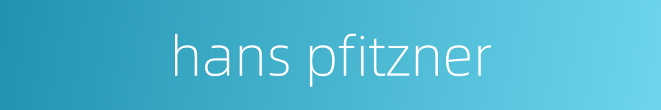 hans pfitzner的同义词