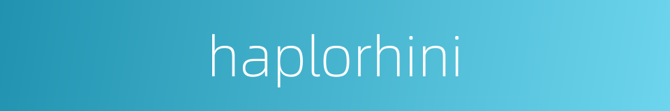 haplorhini的同义词