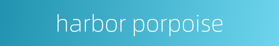 harbor porpoise的同义词