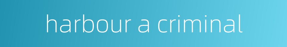harbour a criminal的同义词