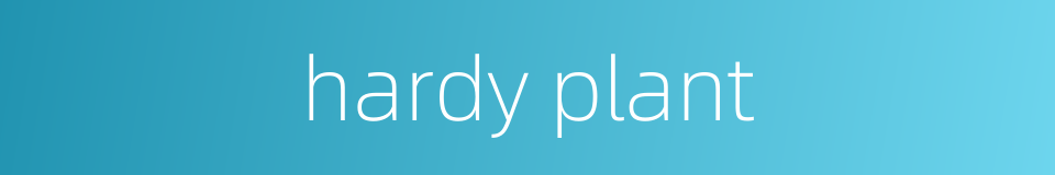 hardy plant的同义词