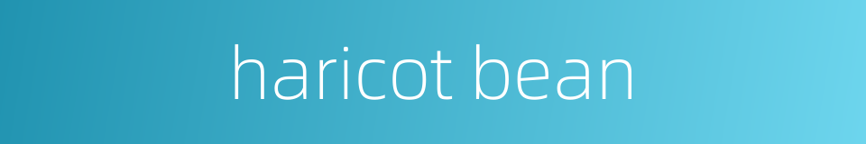 haricot bean的同义词