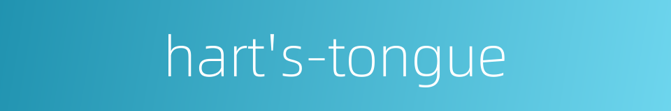 hart's-tongue的同义词