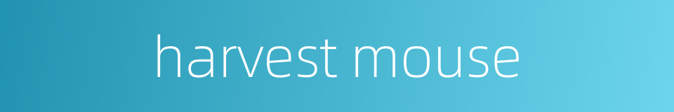 harvest mouse的同义词