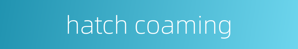 hatch coaming的同义词