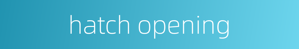 hatch opening的同义词