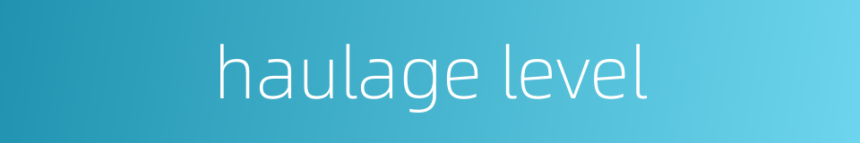haulage level的同义词