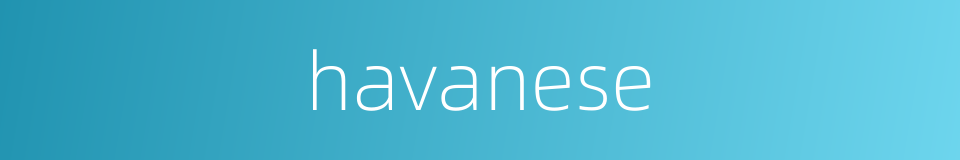 havanese的同义词