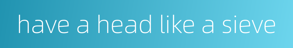 have a head like a sieve的同义词