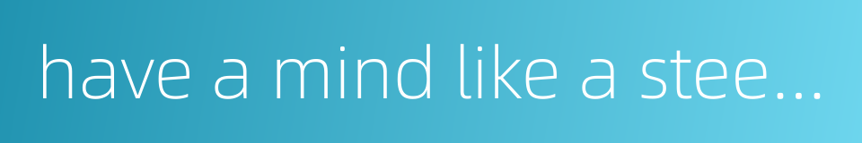 have a mind like a steel trap的同义词