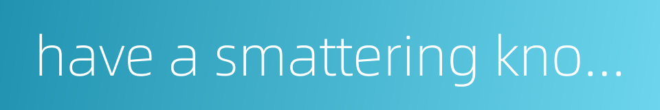 have a smattering knowledge of的同义词