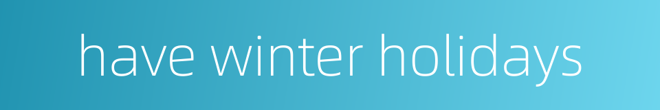 have winter holidays的同义词