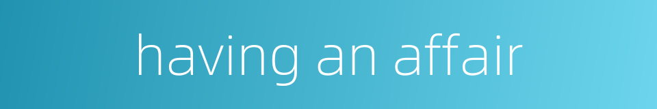 having an affair的同义词