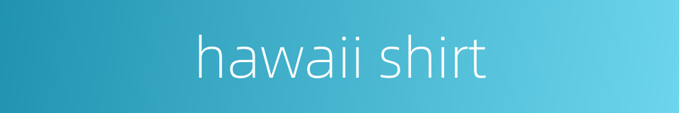 hawaii shirt的同义词