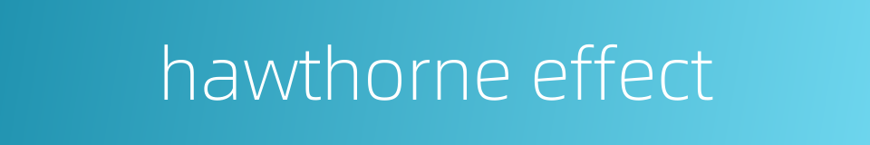 hawthorne effect的同义词