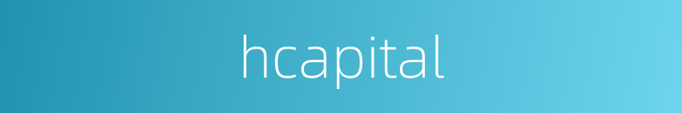 hcapital的同义词
