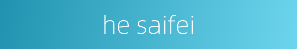 he saifei的同义词