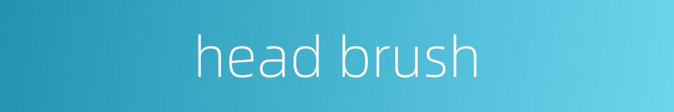 head brush的同义词
