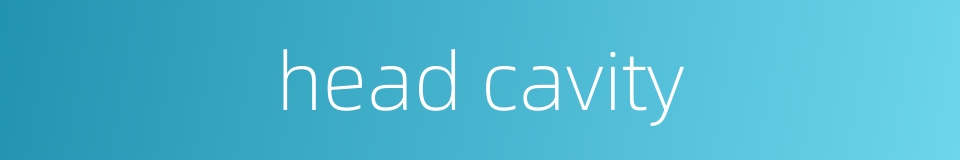 head cavity的同义词