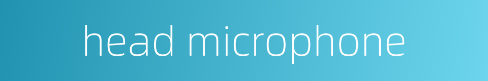 head microphone的同义词