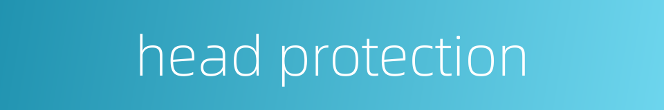 head protection的同义词