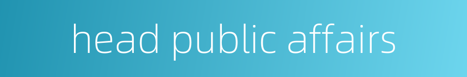 head public affairs的同义词