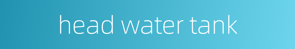 head water tank的同义词