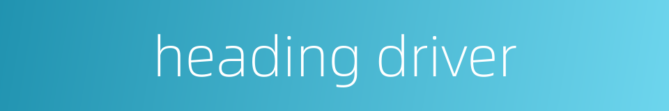 heading driver的同义词