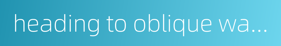 heading to oblique wave correction的同义词