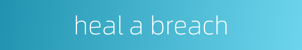 heal a breach的同义词