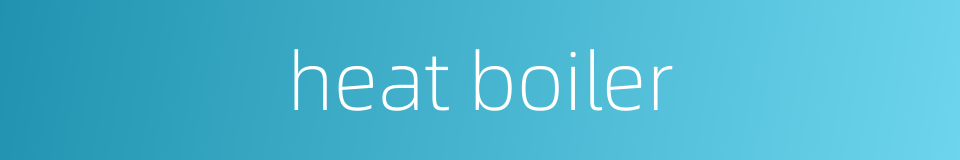 heat boiler的同义词