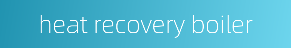 heat recovery boiler的同义词