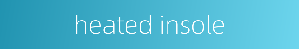 heated insole的同义词