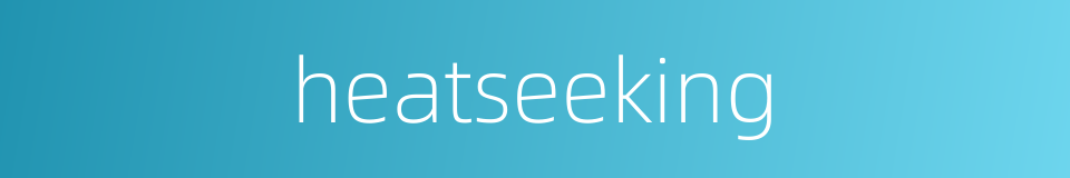 heatseeking的同义词