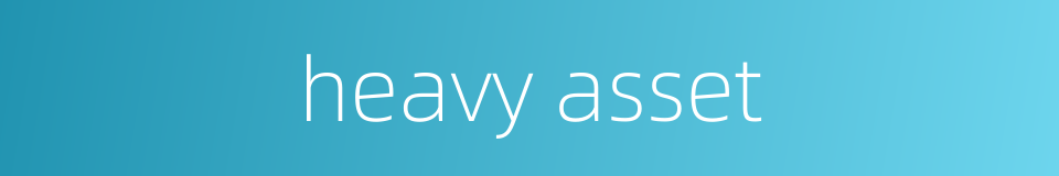 heavy asset的同义词