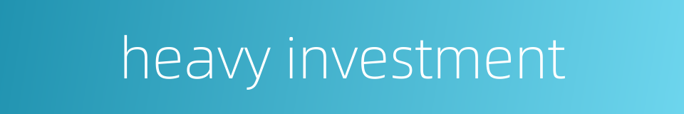 heavy investment的同义词