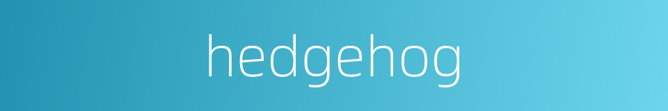 hedgehog的同义词