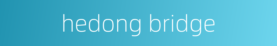 hedong bridge的同义词